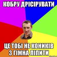 кобру дрісірувати це тобі не коників з гімна ліпити