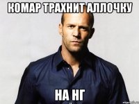 комар трахнит аллочку на нг