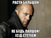 РАСТИ БОЛЬШОЙ НЕ БУДЬ ЛАПШОЙ! (с)Д.СТЕТХЕМ