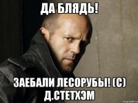 Да блядь! Заебали лесорубы! (с) Д.Стетхэм
