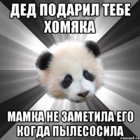 дед подарил тебе хомяка мамка не заметила его когда пылесосила