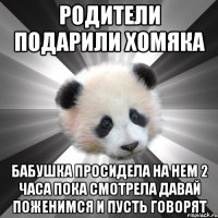 родители подарили хомяка бабушка просидела на нем 2 часа пока смотрела давай поженимся и пусть говорят