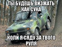 Ты будешь визжать как сука Коли я сяду за твого руля