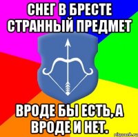 Снег в Бресте странный предмет Вроде бы есть, а вроде и нет.