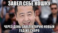 завел себе кошку через день завел вторую новый год же скоро