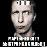 Экока! Мартыненко !!! Быстро иди сюды!!!