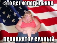 Это всё холодильник ПРОВАКАТОР СРАНЫЙ