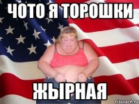 Чото я торошки жырная