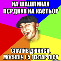 на шашликах пєрднув на кастьор спалив джинси, москвіч і 5 гектар лісу