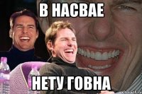 в насвае нету говна