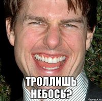  Троллишь небось?