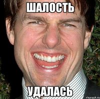 Шалость Удалась