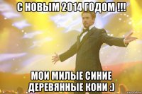 С новым 2014 годом !!! Мои милые синие деревянные кони :)