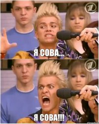 я сова... я сова!!!