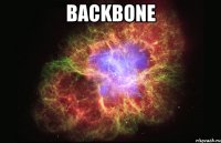 backbone 