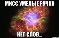 мисс умелые ручки нет слов...