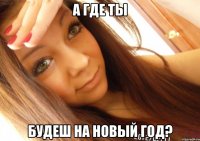 а где ты будеш на Новый Год?