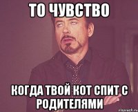 то чувство когда твой кот спит с родителями