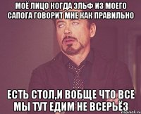 Моё лицо когда эльф из моего сапога говорит мне как правильно есть стол,и вобще что все мы тут едим не всерьёз