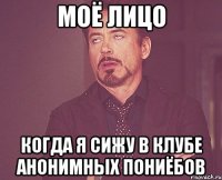 МОЁ ЛИЦО КОГДА Я СИЖУ В КЛУБЕ АНОНИМНЫХ ПОНИЁБОВ