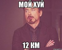 мой хуй 12 км