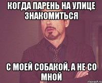 когда парень на улице знакомиться с моей собакой, а не со мной