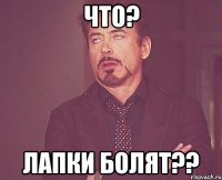 что? лапки болят??