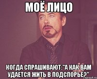 Моё лицо Когда спрашивают:"А как вам удается жить в Подспорье?"