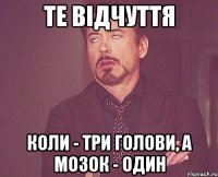 Те відчуття коли - три голови, а мозок - один