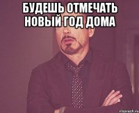 будешь отмечать Новый Год дома 