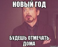 Новый год Будешь отмечать дома