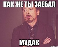 Как же ты заебал Мудак