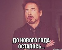  до нового года осталось...