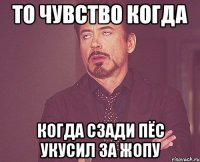 то чувство когда когда сзади пёс укусил за жопу