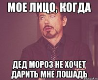 Мое лицо, когда Дед мороз не хочет дарить мне лошадь