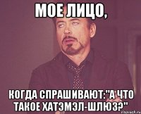 Мое лицо, когда спрашивают:"А что такое хатэмэл-шлюз?"