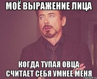 Моё выражение лица когда тупая овца считает себя умнее меня