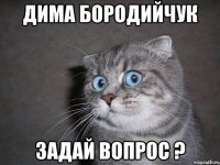 Дима Бородийчук Задай вопрос ?