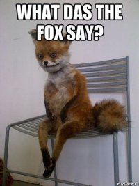 What das the fox say? 