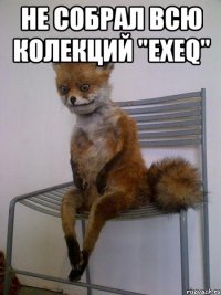 не собрал всю колекций "exeq" 