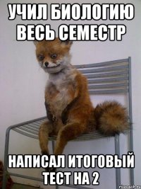 учил биологию весь семестр написал итоговый тест на 2