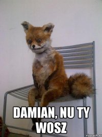  Damian, nu ty wosz