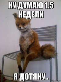 ну думаю 1.5 недели я дотяну..