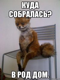 куда собралась? в род дом.