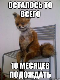 Осталось то всего 10 месяцев подождать