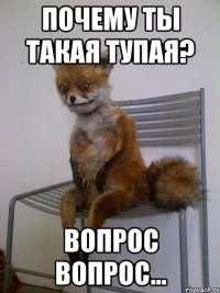 Почему ты такая тупая? вопрос вопрос...