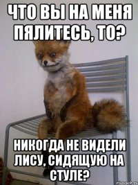 Что вы на меня пялитесь, то? Никогда не видели лису, сидящую на стуле?