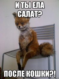 и ты ела салат? после кошки?!