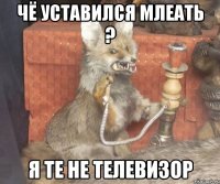 чё уставился млеать ? я те не телевизор