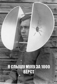 Я слышу муху за 1000 вёрст